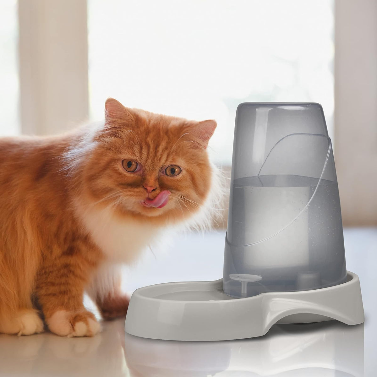 Fancy Pets Bebedero Automático Para Perro o Gato Tamaño Mediano de .4 Galones, 1.5 Litros