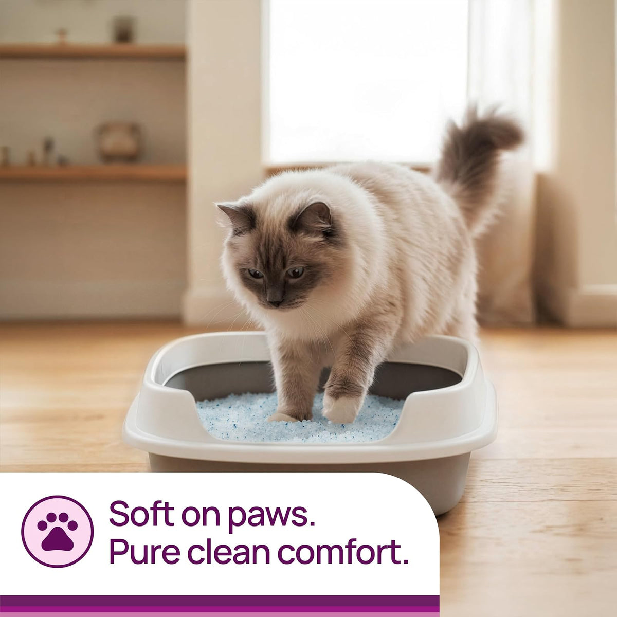 Litter Pearls Arena para gatos con microcristales, 10 libras, transparente con azul (10610)