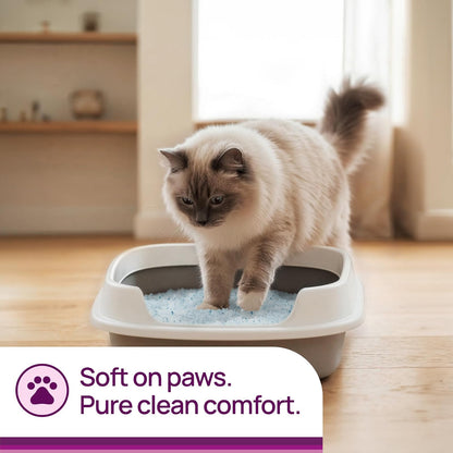 Litter Pearls Arena para gatos con microcristales, 10 libras, transparente con azul (10610)