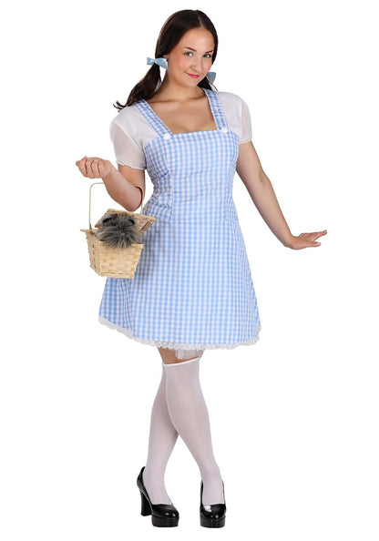 Dreamgirl Gingham Dress, Light Blue
