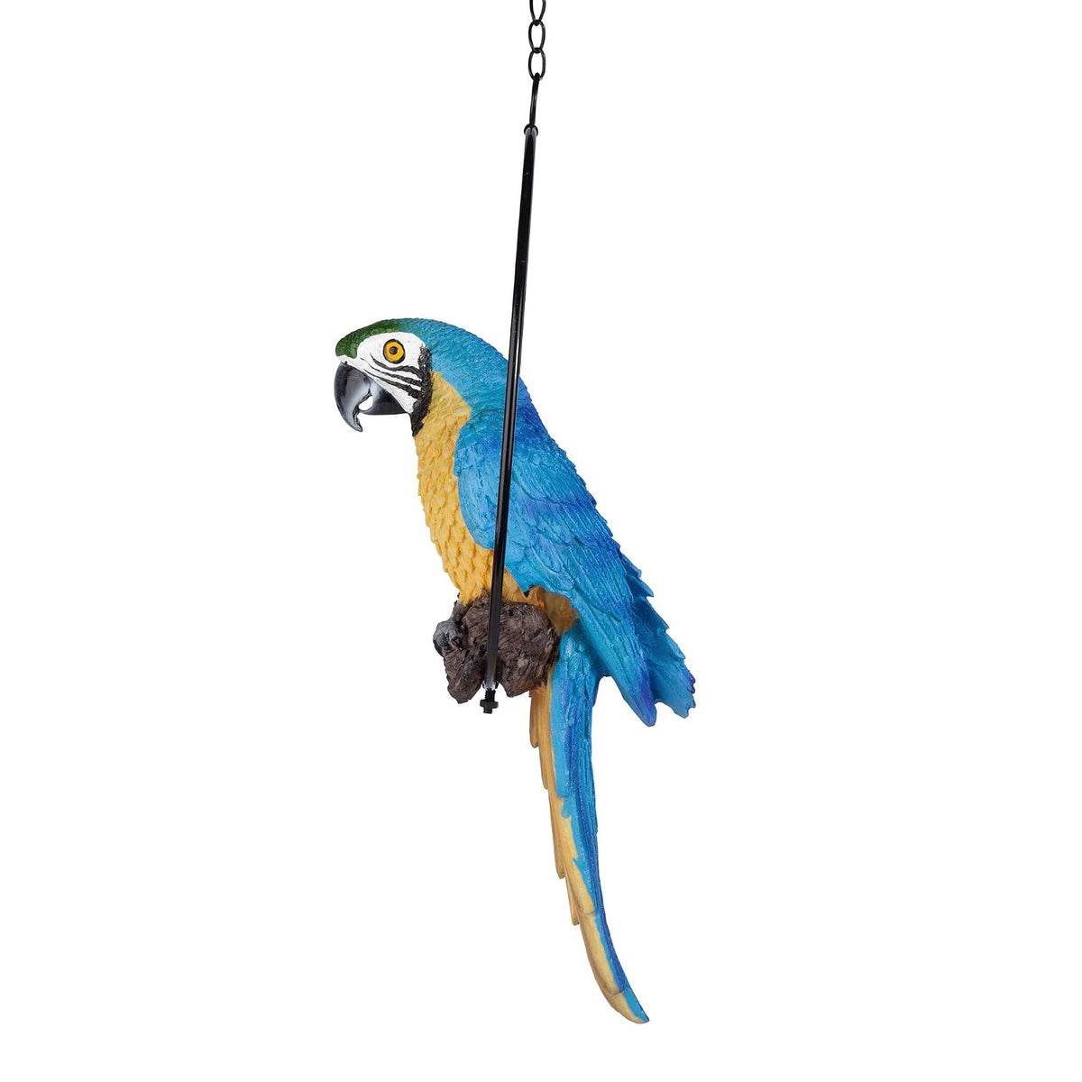 Design Toscano - Anillo Colgante para pájaro, diseño de Polly in Paradise, Estatua para Interior/Exterior, tamaño Mediano de 14 Pulgadas de Alto, Resina de Piedra fundida, Acabado Azul Amarillo