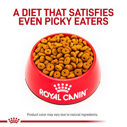 ROYAL CANIN - Alimento Seco para Perro Adulto Control de Peso Raza Grande
