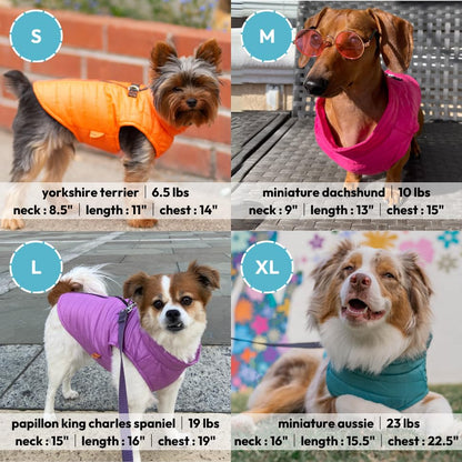 Gooby Chaleco Acolchado para Perro, Azul, Grande, ultradelgado con Cremallera y Correa de Doble Anillo en D, Abrigo Resistente al Agua para Perros pequeños, Ropa para Perros pequeños o medianos