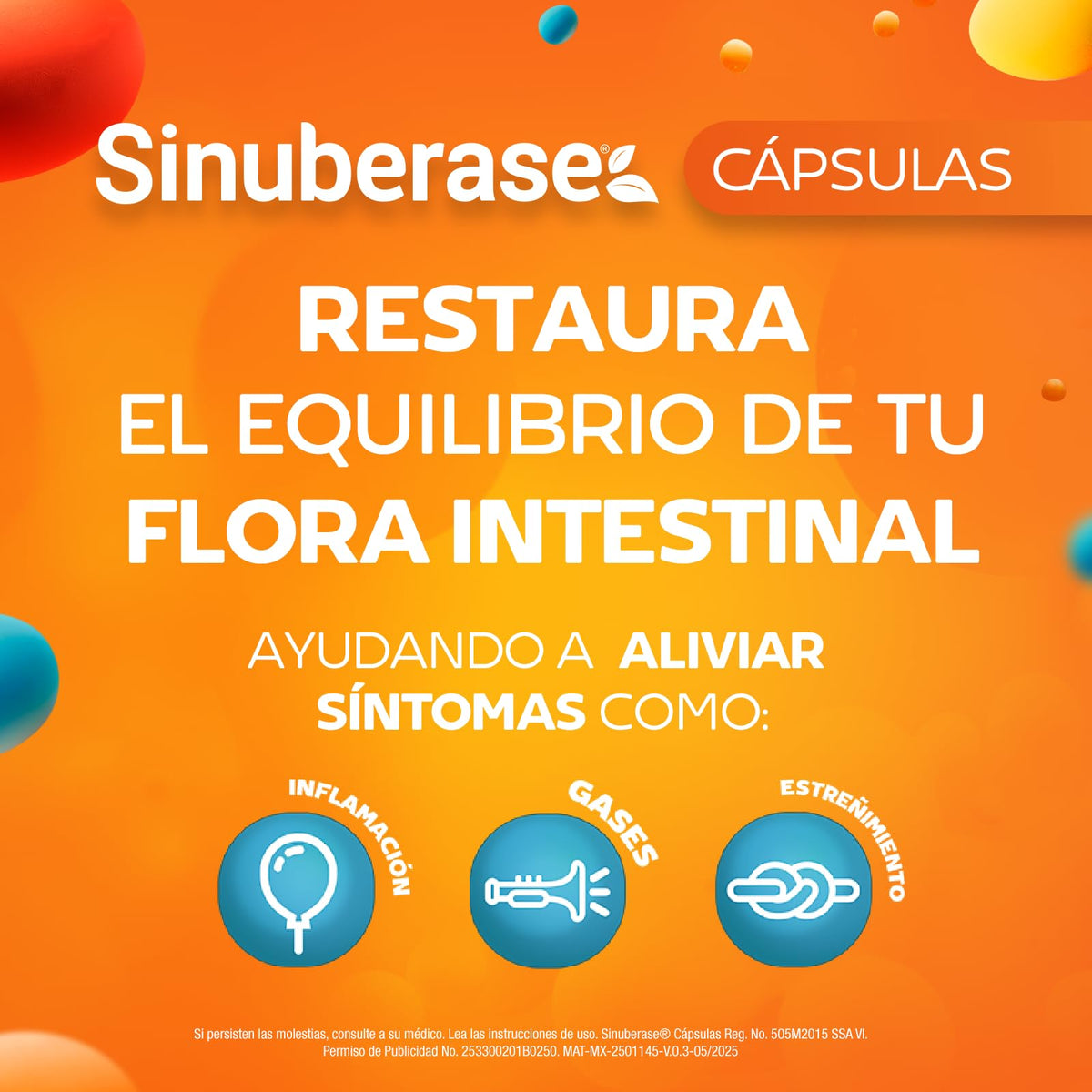 Sinuberase Probióticos 2 billones de UFC 12 Cápsulas. Fortalece la Salud Digestiva. Auxiliar en el Tratamiento de Inflamación, Gases y Estreñimiento. Restaura el Equilibrio de la Flora Intestinal