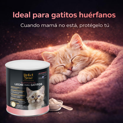 Perfect Sense Sustituto de Leche para Gatitos 360 g con Prebióticos, Probióticos, Enzimas Digestivas y DHA de Origen Marino