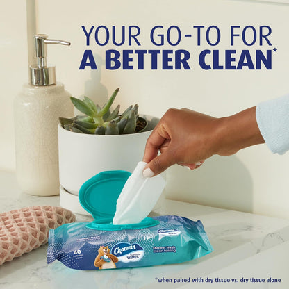 Charmin Flushable Wipes, 4 packs of 40 Flushable Wipes, 160 Total Wipes (Packaging May Vary)