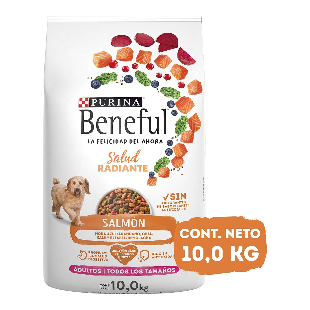 Purina Beneful Adulto Todos los tamaños Salud Radiante Sabor Salmón 10Kg