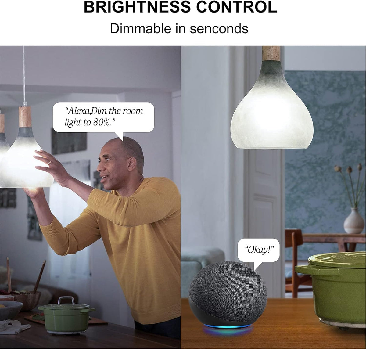 Sengled - foco de luz Alexa, bombillas inteligentes, bombillas inteligentes que funcionan con Alexa y Google Assistant, bombillas WiFi A19 de luz diurna (5000 K), no requiere concentrador, 800 lm