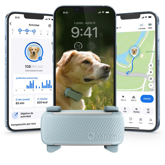 Tractive Rastreador GPS para Mascotas | GPS para Perro Inteligente con Valla Virtual | Monitoreo de Frecuencia Cardíaca y Respiratoria | Detección de Ladridos | Se Acopla al Collar (Menta)