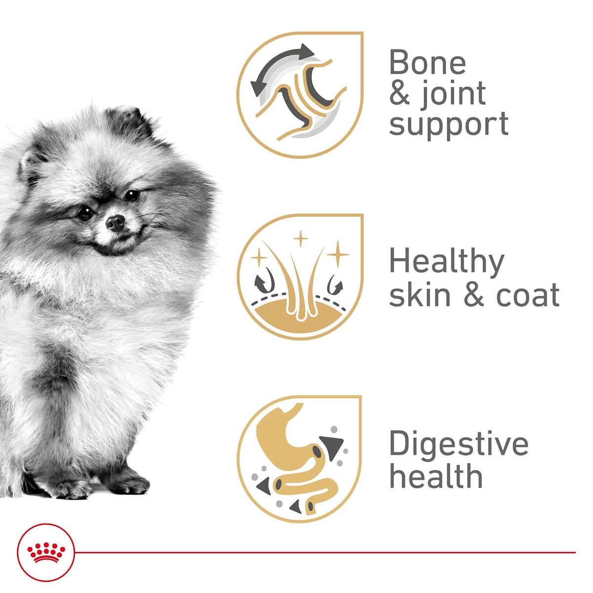 ROYAL CANIN Alimento Seco para Perro Adulto Raza Pomeranian, 4.5 kg