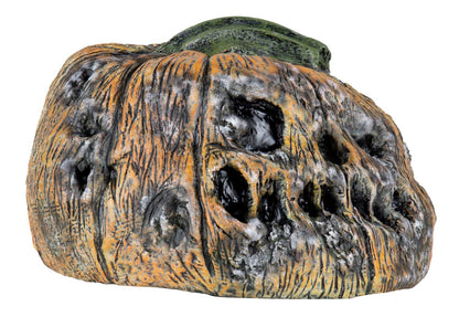 Ghoulish Productions Decoración De Látex Rotten Pumkin 6, Decoración De Calabazas Halloween, Calabazas Podridas Halloween, Ideal Para Usar En Fiestas De Halloween, Casa