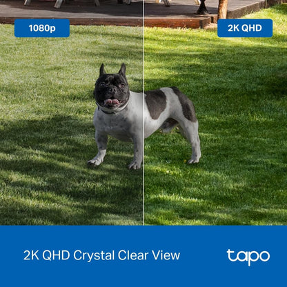 Tapo TP-Link TC85, Cámara Seguridad Inalámbrica 2K, Visión Nocturna Color, 150° FOV, IA Gratis, IP66, Batería 300 Días, Compatible Panel Solar