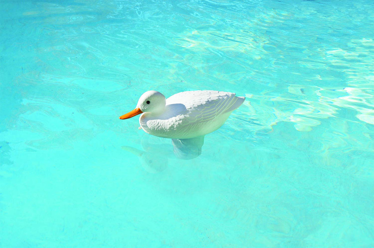 Poolmaster Dispensador de Cloro Ajustable para Piscinas y spas, Pato Blanco