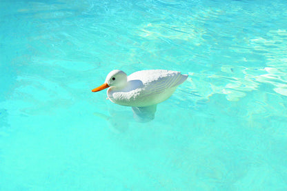 Poolmaster Dispensador de Cloro Ajustable para Piscinas y spas, Pato Blanco