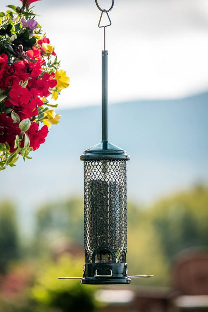 Squirrel Buster Mini 4.4"x4.4"x21" (w/hanger) Wild Bird Feeder with 4 Metal Perches, 1.3lb Seed Capacity