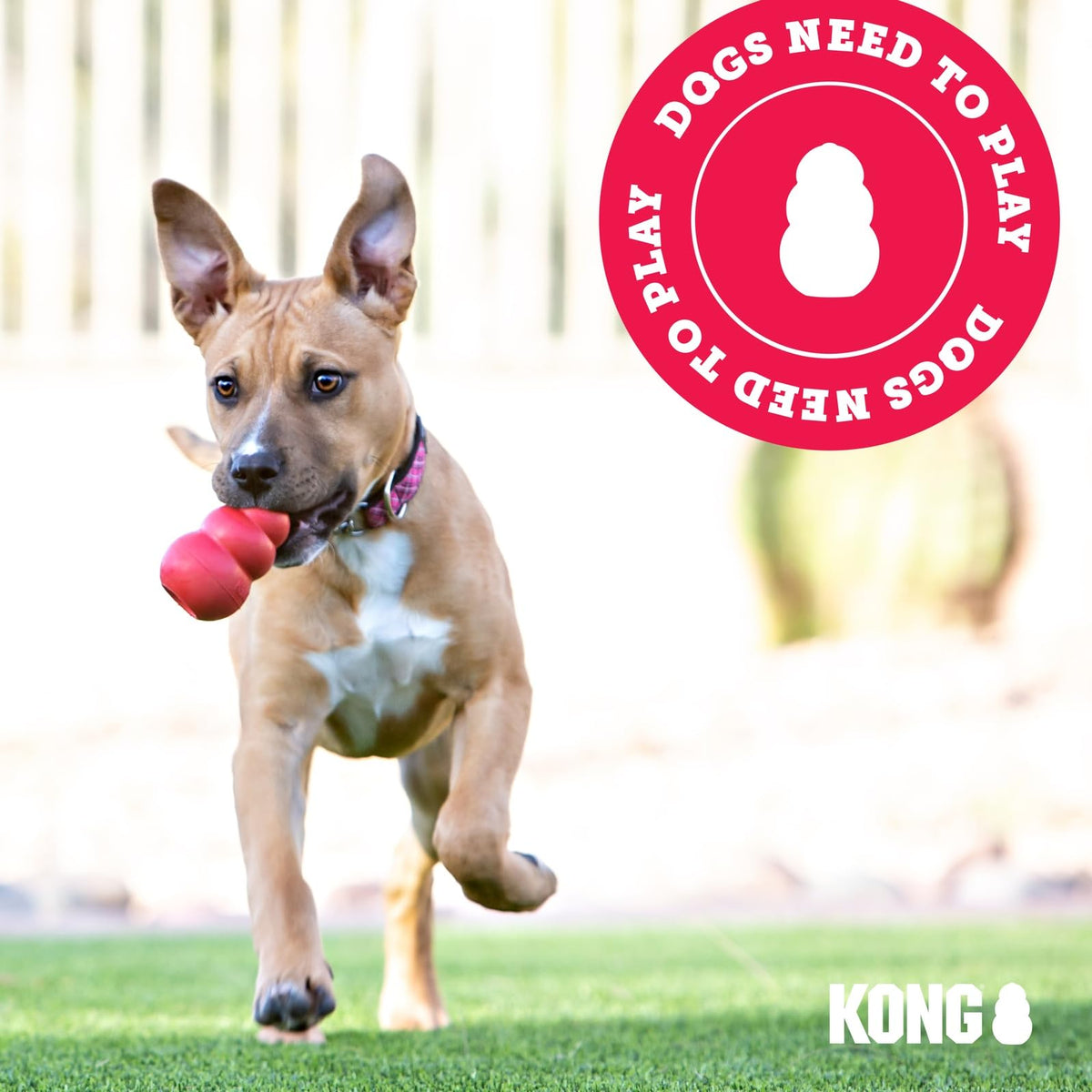 Kong Senior Kong Dog Toy, Large, Purple
