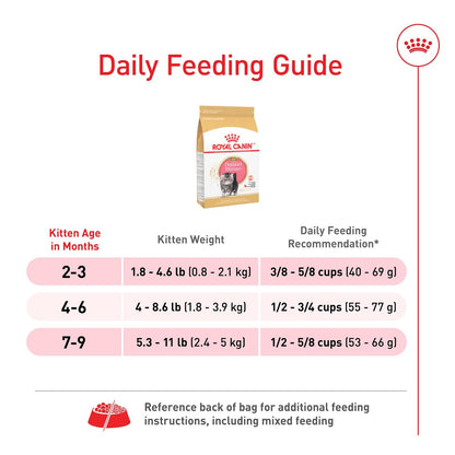 Royal Canin Alimento seco para gatos adultos para gatitos persas de raza felina, 3 libras