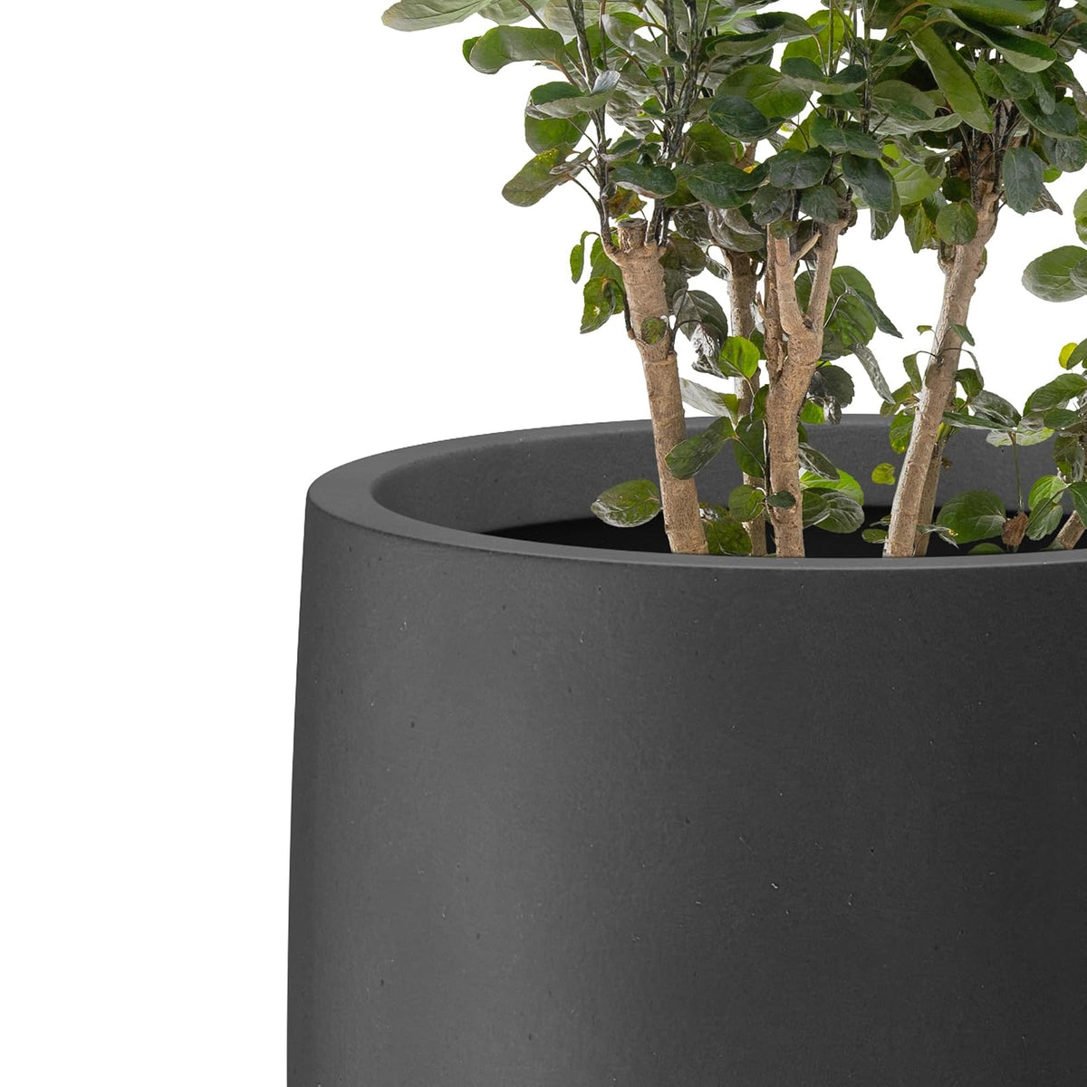 Kante - Maceta Alta Negra bruñida de 21.5 Pulgadas de Alto, Maceta Decorativa Grande para Interiores con Orificio de Drenaje y tapón de Goma, Estilo Redondo Moderno para el hogar y el Patio