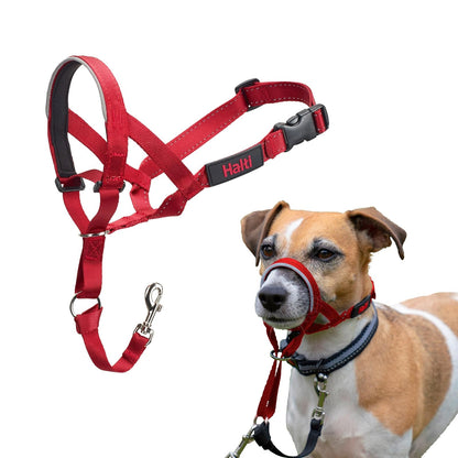 The Company Of Animals DCN11400 Size-1 Halti Head Halter/Collar, Red by Company of Animals
