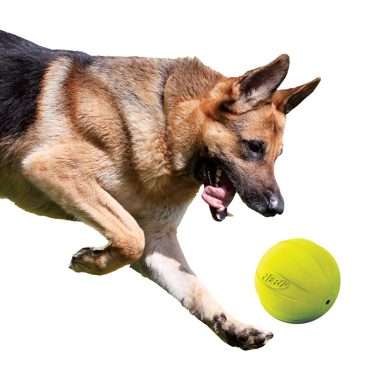 Nerf - Pelota de Goma para Perro con chirriador, Ligero, Duradero y Resistente al Agua, 4 Pulgadas de diámetro para Razas Medianas/Grandes, una Sola Unidad, Verde
