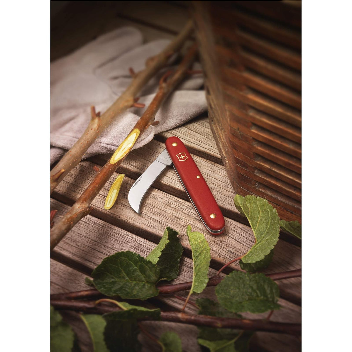Victorinox Herramienta De Injerto, Roja, 1 Hoja Curva | Cuchillo de corte único para jardineros y cultivadores