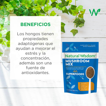 Mushroom Mix en Polvo 80g Concentración Estrés Energía | Con Hongo Melena de Leon hongo Reishi, Cordyceps, Chaga, Maitake, Shiitake y Cola de Pavo | Suplemento Natural Wisdom