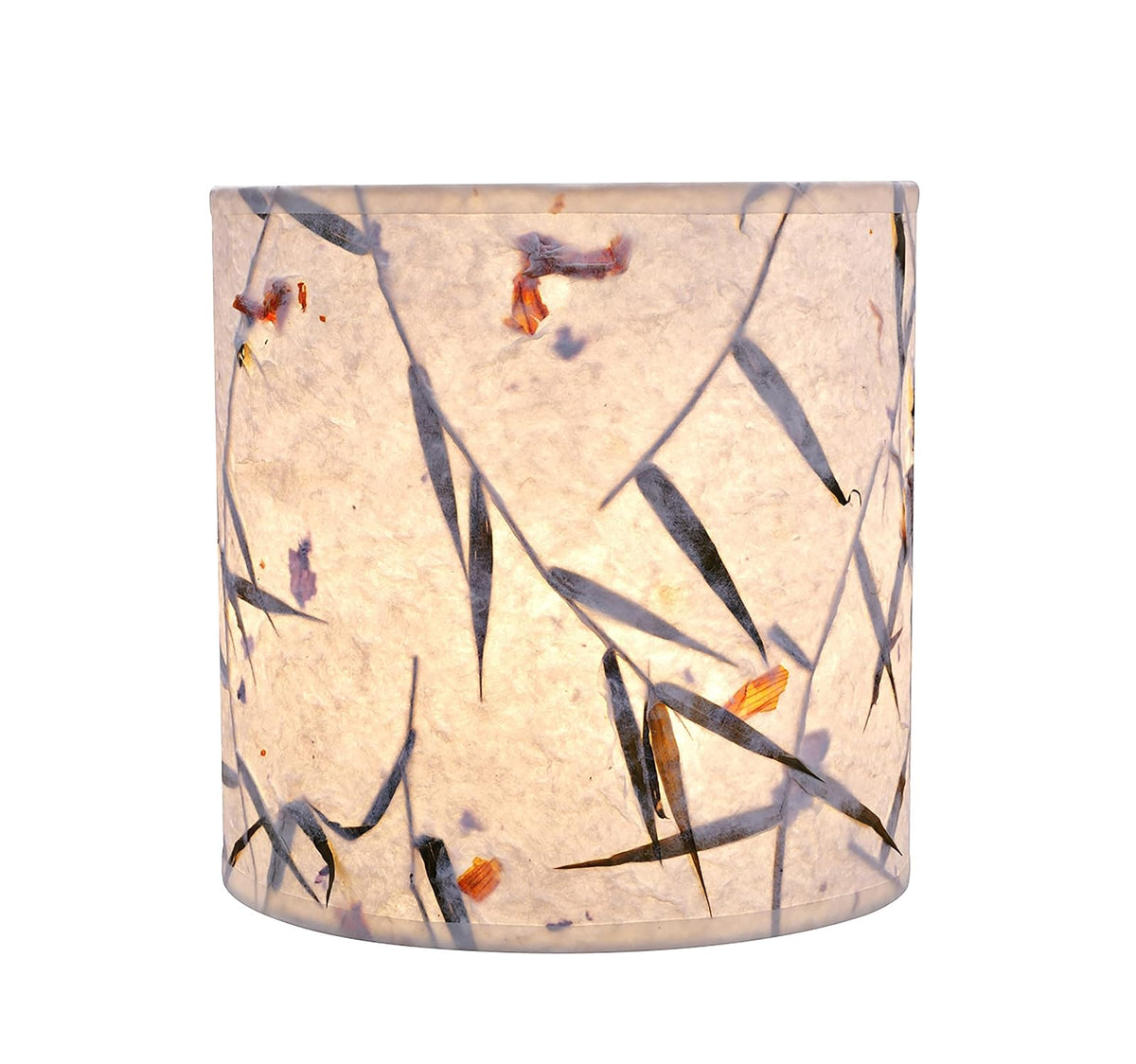 Aspen Creative 31223 - visualización de lámpara de construcción de araña con forma de tambor de transición en color blanco roto, 8 pulgadas de ancho (8 x 8 x 8 pulgadas)