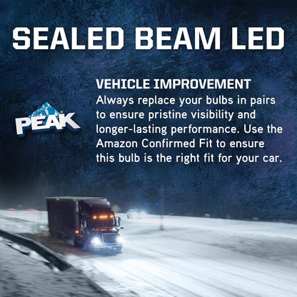 PEAK Faros Delanteros LED H6024LED, 6000 K, Blanco