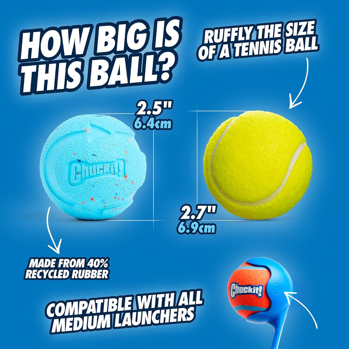 Chuckit! Bola de Rebote Mediana de 2.5 Pulgadas, Paquete de 2, Azules y morados (20320)
