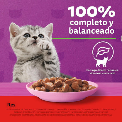Whiskas Alimento Húmedo para Gatitos, Sabor Res, 85g c/u. Paquete de 24 Unidades