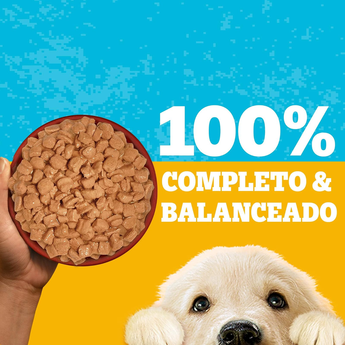 Pedigree - Sobres para Perro Cachorro, Pollo En Filetes, Nutrición para tu Mascota, Proteínas y Fibras, 24 Sobres