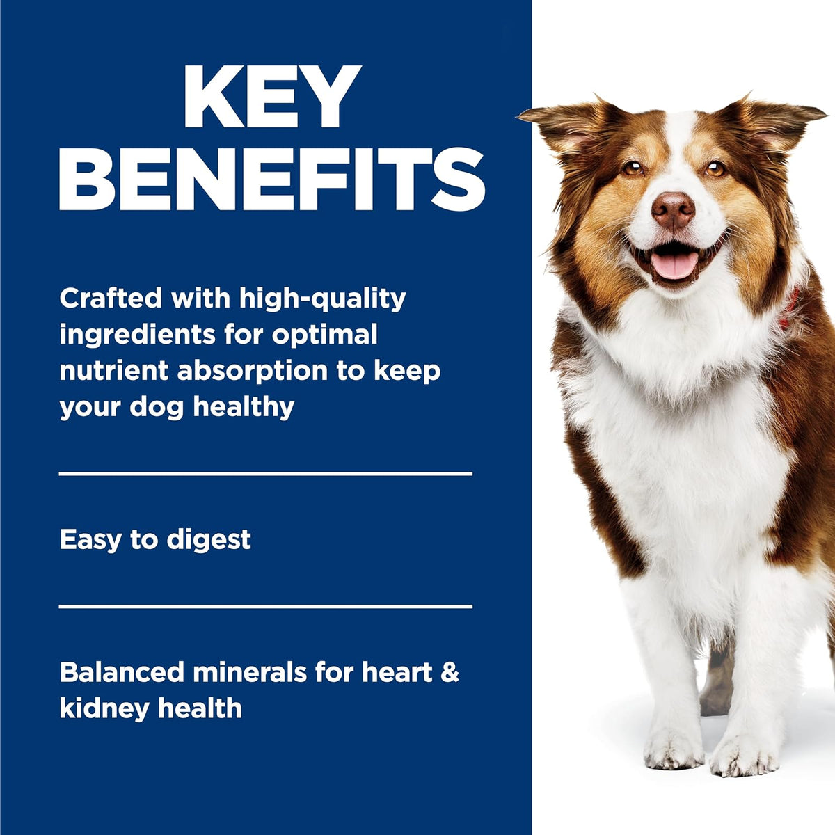 Hill's Science Diet Alimento Húmedo para Perro Senior 12 Pack 369G | Alimento húmedo Hill's para perro, vitalidad senior, salud de órganos vitales, energía diaria, ingredientes de alta calidad