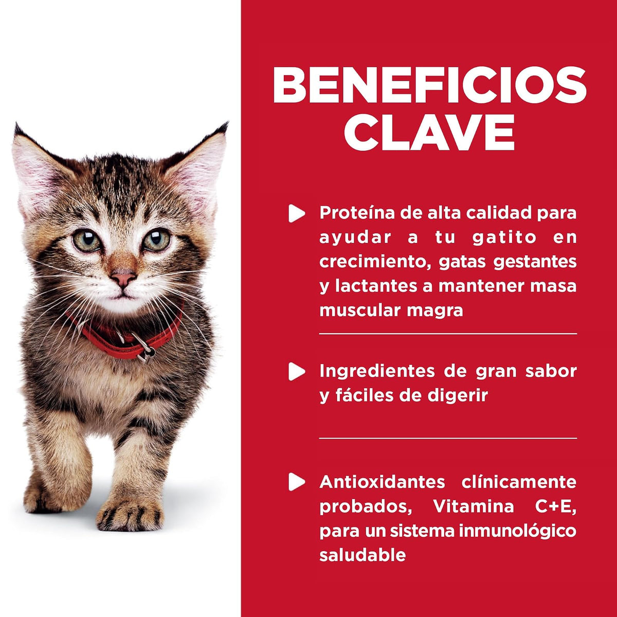 Hill's Science Diet Alimento Húmedo para Gatito Pollo 24 Pack 79G | Alimento húmedo Hill's para gato, pollo real, crecimiento sano, desarrollo cerebral con DHA, soporte inmunológico