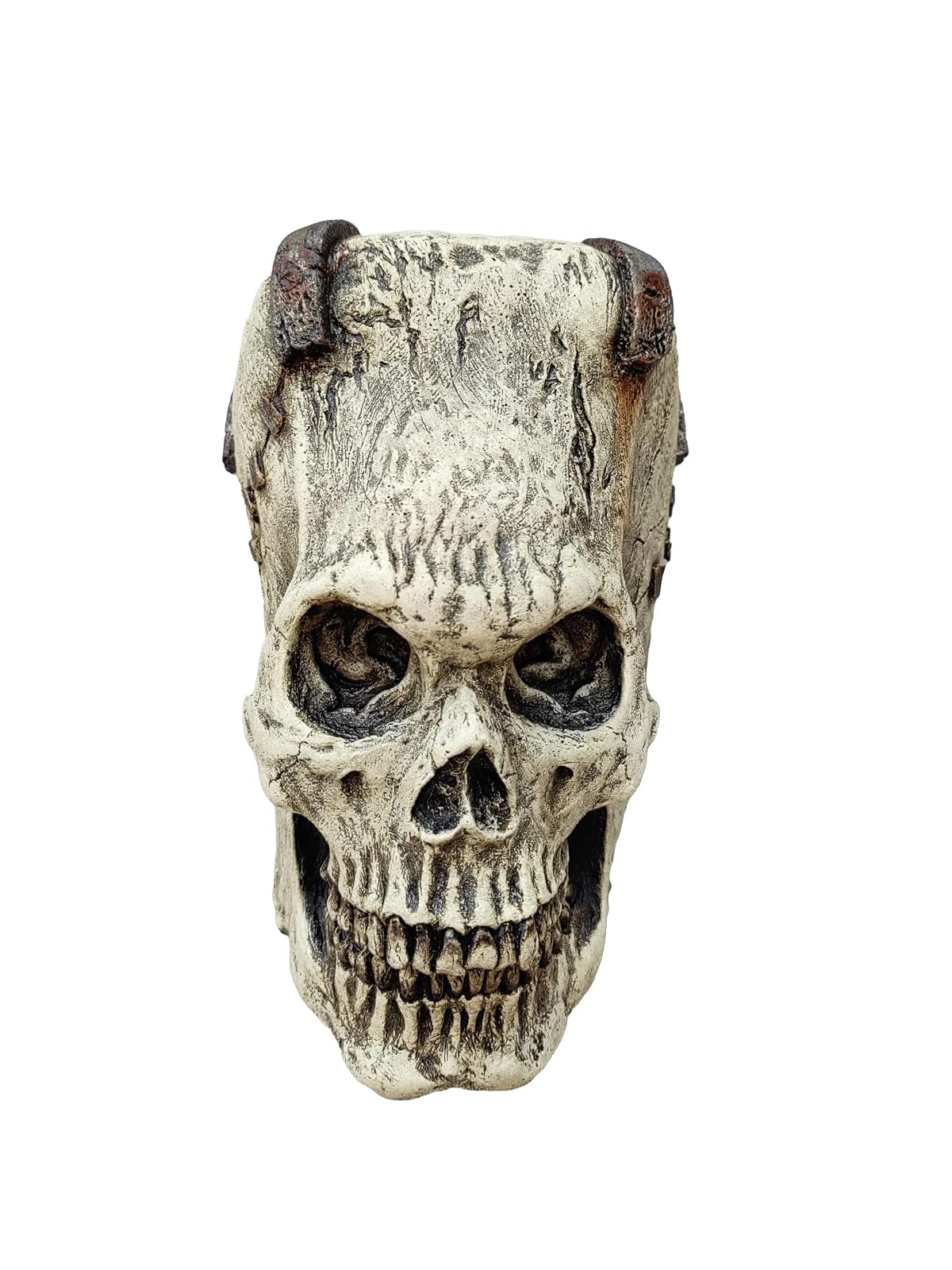 Ghoulish Productions Franky Skull, Artículo Decorativo de Craneo de Esqueleto de Frankenstein, Adorno para Decoración de Halloween de Cabeza de Monstruo Ideal para Casa de Terror
