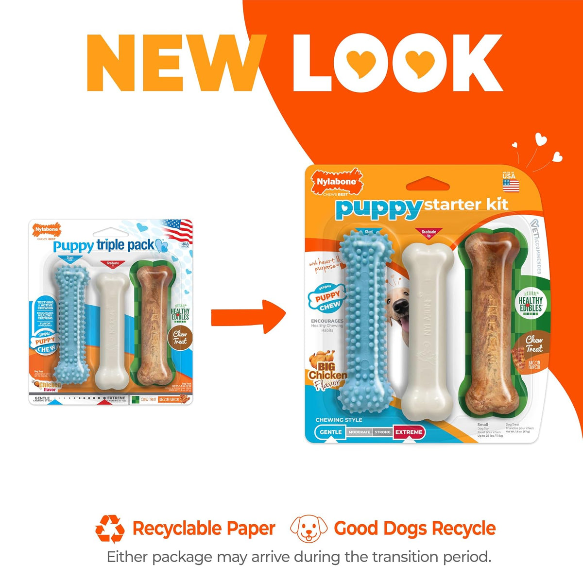 Nylabone Puppy Chew Variety Toy & Treat Triple Pack, Chicken|Lamb|Apple, 3Count, Regular, Light Blue