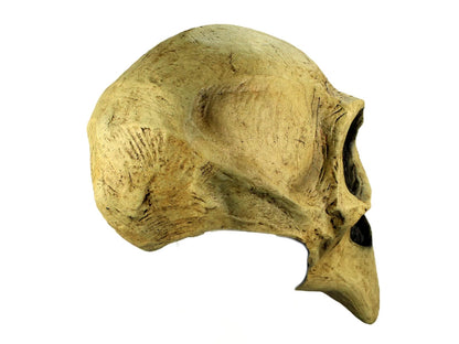 Ghoulish Productions Crow Skull Mask