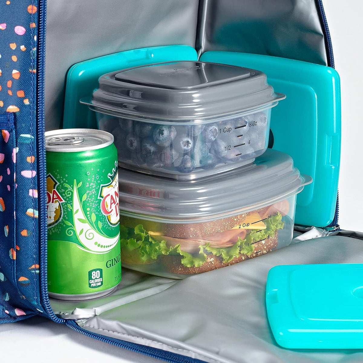 Fit & Fresh Cool Coolers - Bolsas de Hielo Delgadas y Reutilizables para Bolsas de Almuerzo, Bolsas de Playa, enfriadores y más, Varios tamaños y Colores