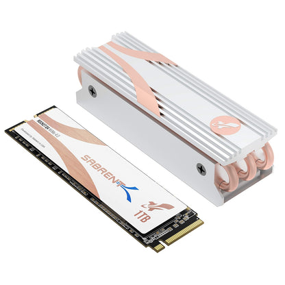 SABRENT 1TB Rocket Q4 NVMe PCIe 4.0 M.2 2280 SSD Interno de máximo Rendimiento con disipador de Calor | R/W 4700/1800 MB/s (SB-RKTQ4-HTSS-1TB)