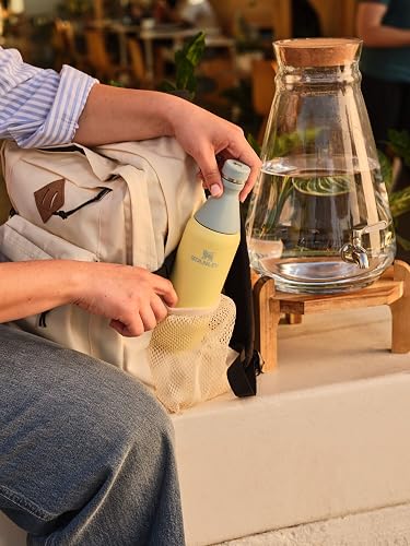 Stanley All Day - Botella delgada de 20 onzas, tapa giratoria con sello a prueba de fugas, diseño delgado para viajes y gimnasio, acero inoxidable aislado, sin BPA, cuarzo rosa