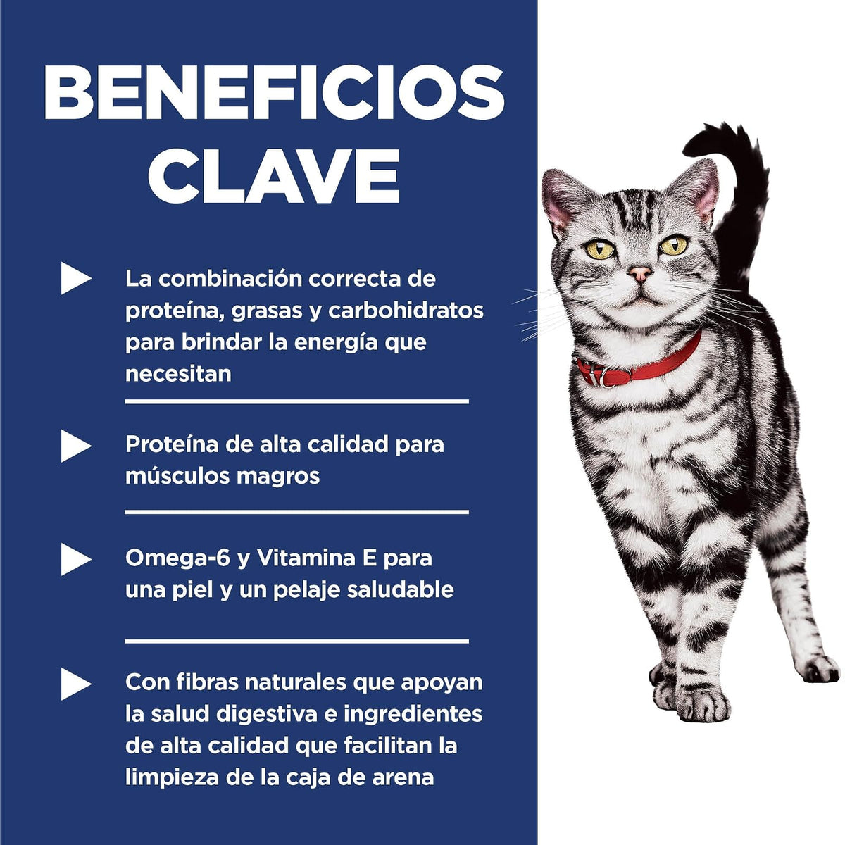 Hill's Science Diet Indoor Croquetas para Gato Adulto Sabor Pollo 3.2Kg | Croquetas Hill's para gato, pollo real, digestión saludable, sistema inmunológico fuerte, omega-6 y vitamina E