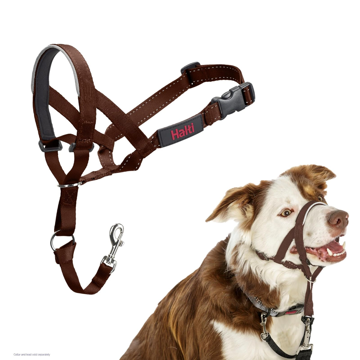 Halti Collar de Cabeza para Perro, Antitirones, Ajustable - nogal oscuro (deep walnut) - 2
