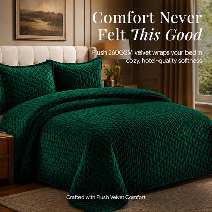 Tribeca Living - Juego de edredón de Terciopelo para Cama de 3 Piezas Lugano con Punto de Panal, Terciopelo súper Suave de 260 g/m², edredón de Gran tamaño y Dos Fundas de Almohada, Color Verde