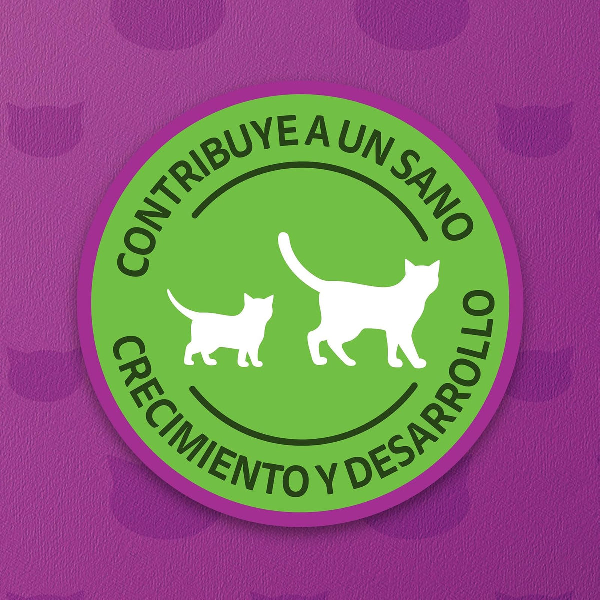 WHISKAS - Alimento Húmedo para Gatitos, Sabor a Soufflé de Salmón, 24 Sobres para Gato, 85 gr., c/u
