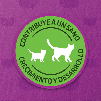 WHISKAS - Alimento Húmedo para Gatitos, Sabor a Soufflé de Salmón, 24 Sobres para Gato, 85 gr., c/u