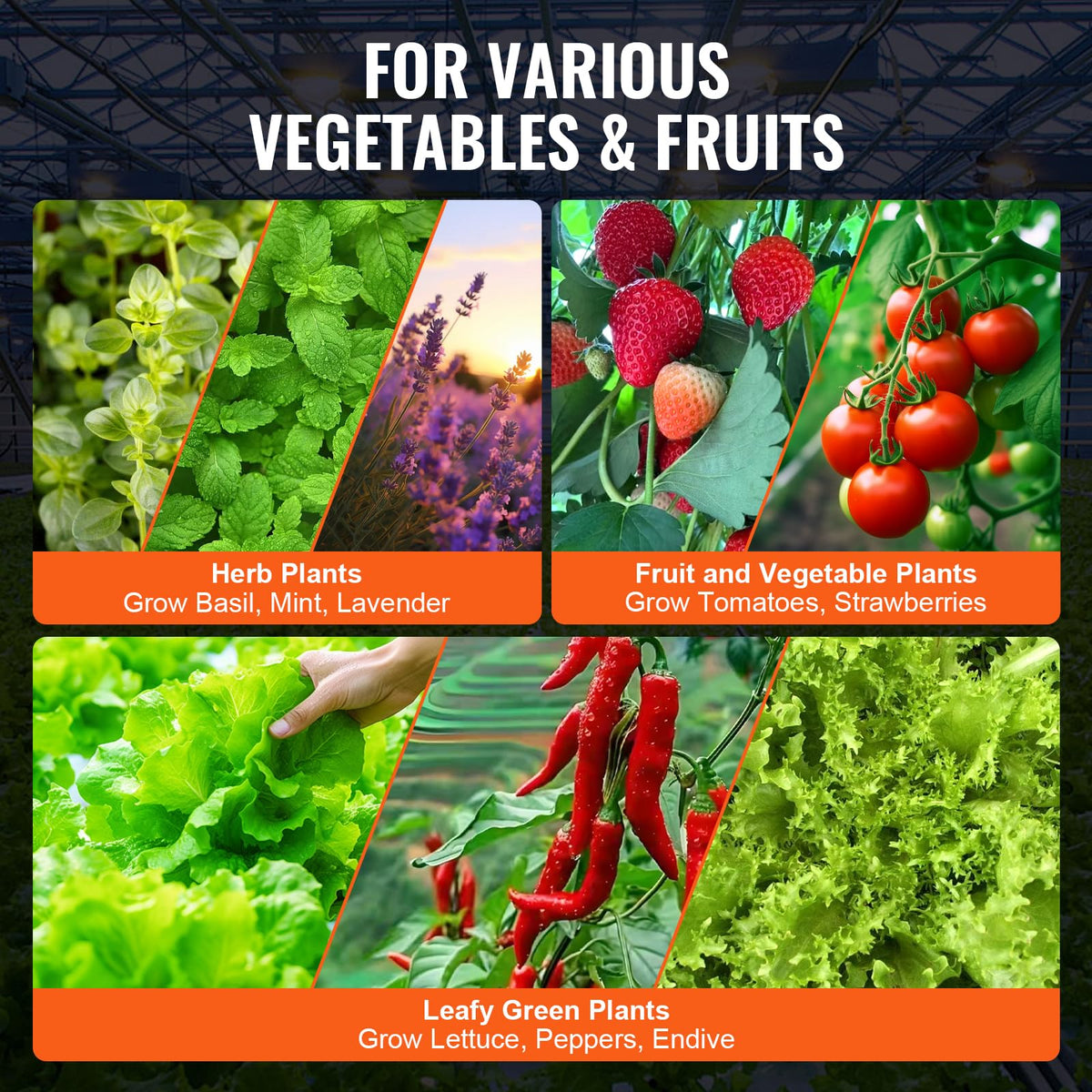 VEVOR DWC Sistema hidropónico, 5 galones y 8 Cubos, cubeta de Cultivo de Agua Profunda, Kit de Cultivo hidropónico con Bomba, Piedra de Aire y Dispositivo de Nivel de Agua, para Verduras de Hoja y