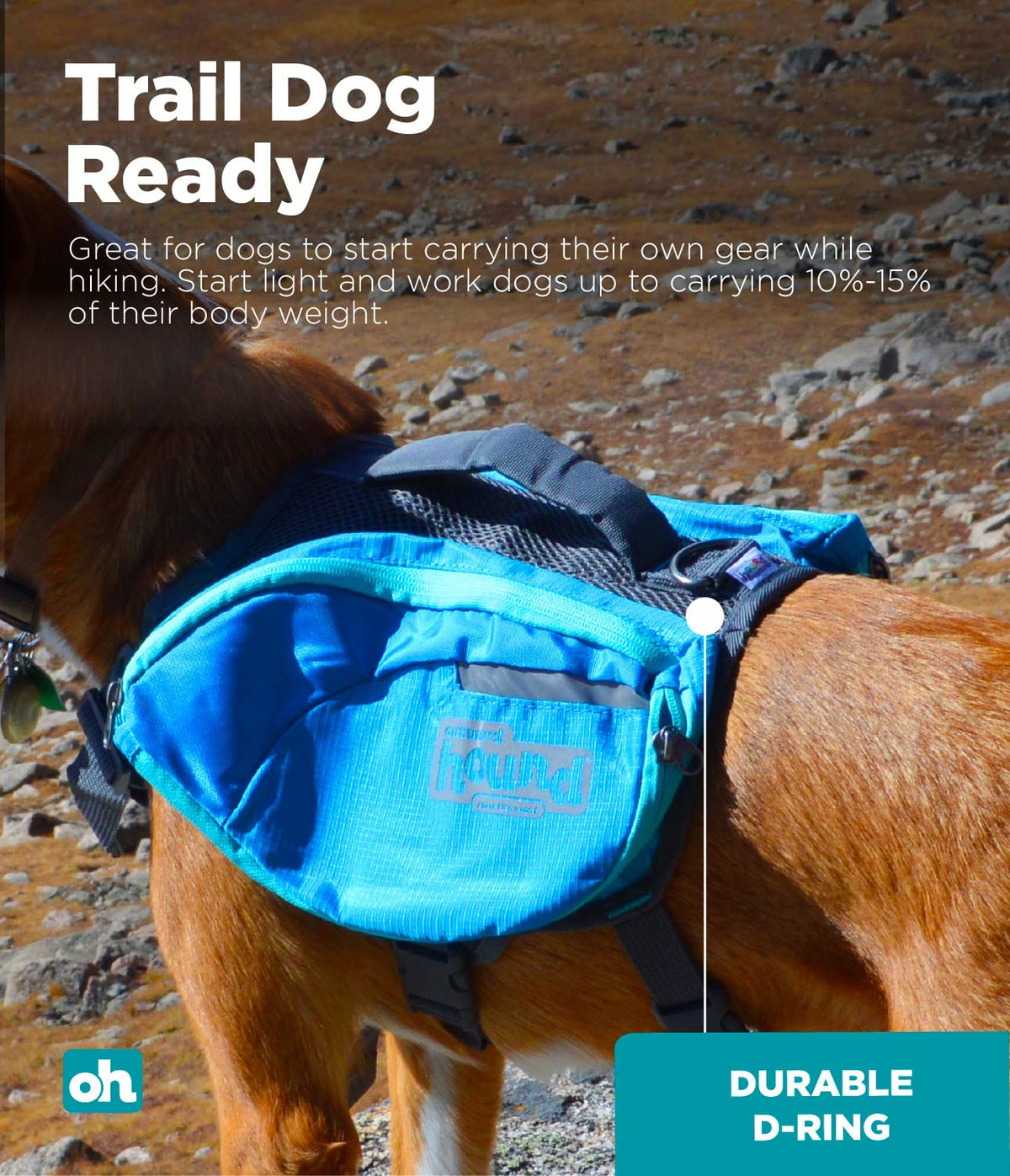 Mochila para perros Daypak de Outward Hound, Azul, Large
