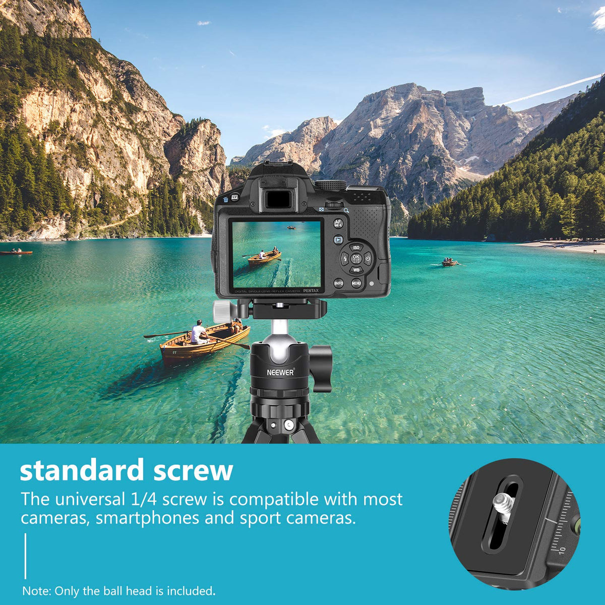 NEEWER Cabeza de Bola de Trípode de Perfil Bajo de 28mm Rotación Panorámica de 360°con Placa de Liberación Rápida Tipo Arca de 1/4" y Nivel de Burbuja para Trípodes Monopies, Carga Máxima: 6.6lb/5kg