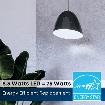 FEIT ELECTRIC PAR30LDM/930CA/2 75W PAR30 LED lámpara de proyección
