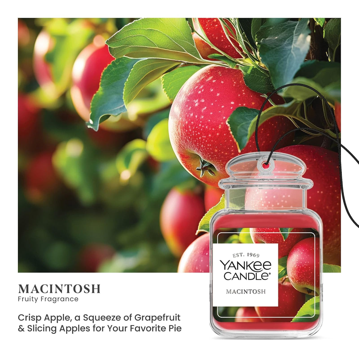 Yankee Candle Ambientadores para Automóvil, Tarro Colgante para Automóvil, con Aroma a Macintosh, neutraliza los olores hasta 30 días