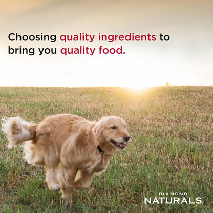Diamond Naturals Alimento Seco para Perros Adultos con Fórmula de Pollo y Arroz - 1 bolsa x 40 Lb